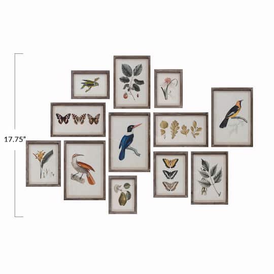 Wood Framed Glass Wall D&#xE9;cor Set with Insects, Birds, Plants and Fruit